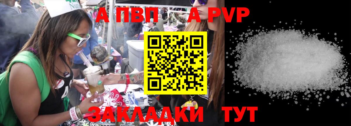 А ПВП крисы CK Курчалой