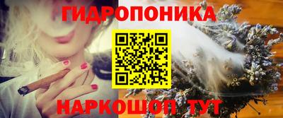 тгк Волгодонск